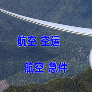 奔牛空运代理快递-选东方航空和上海航空