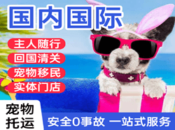 奔牛空运代理国际宠物托运 【国